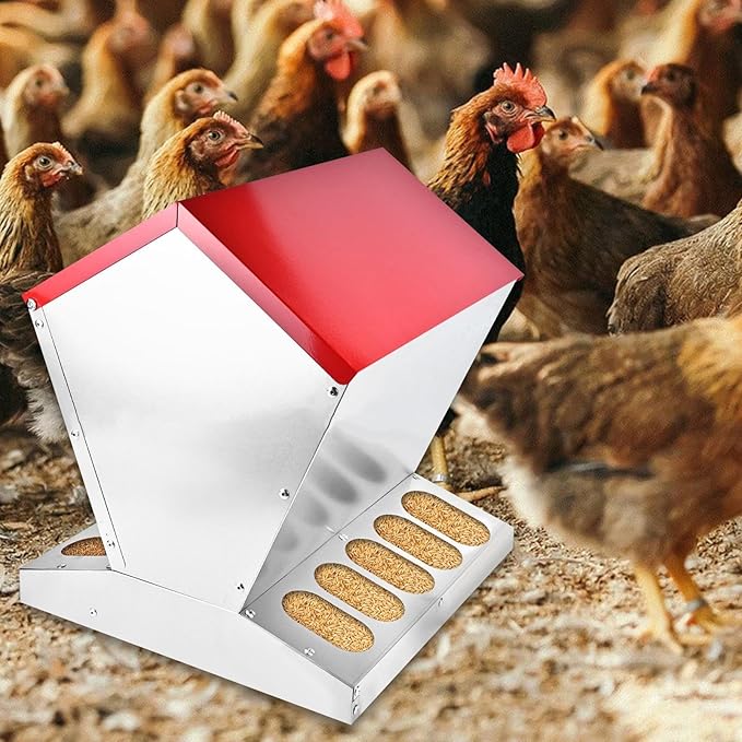 Chicken Coop Feeder Feeder Large Capacity Galvanized Heavy Duty Container Coop Accessories Outdoor Feeding Equipment