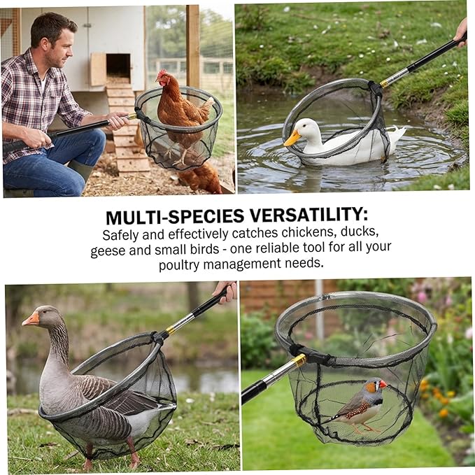 Chicken Net Adjustable Animal Net with Handle 16-60 Inch Telescoping Steel Pole with Folding Head for Catching Birds Poultry and Small Animals