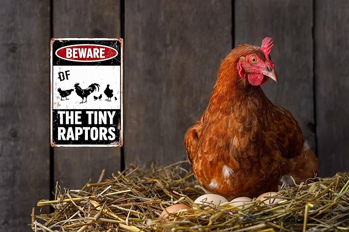 Funny Beware Of Chicken Signs For Coop Funny Outdoor Chicken Coop Signs Beware Of The Tiny Raptors Sign Chicken Coop Accessories 8x12 in
