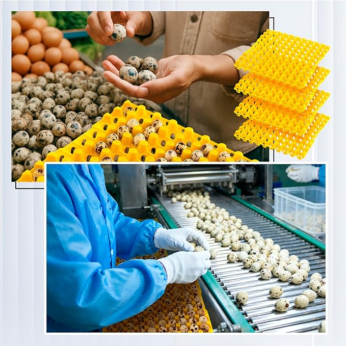 10 Pcs 90 Egg Plastic Trays Quail Egg Flats Holder for Quail Pigeon Dove Bird Flat Carton (Yellow)