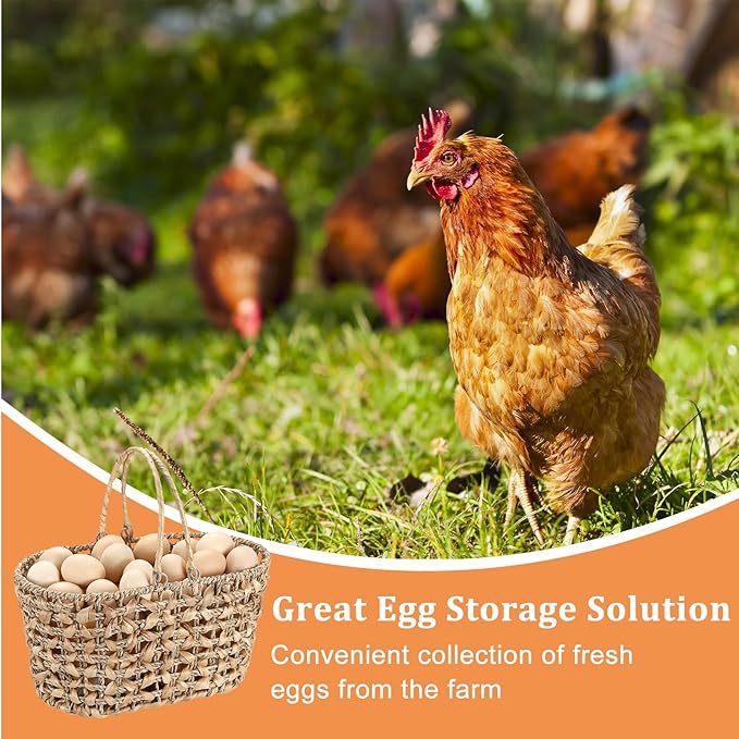 2 Pcs Eggs Collecting Baskets, Handmade Water Hyacinth Storage Basket for Gathering Fresh Eggs, Egg Holder with Handle for Harvest Farmhouse and Kitchen Use Seagrass Basket for Chicken-Egg