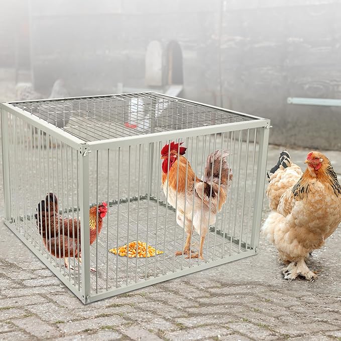 Chicken Trap Cage with Escape-Proof Design – Auto Bird Trap Cage for Chickens and Large Birds | Multi-Catch Pigeons Ducks Traps for Sale with Well Anti-Rust Baking Paint-XL Size