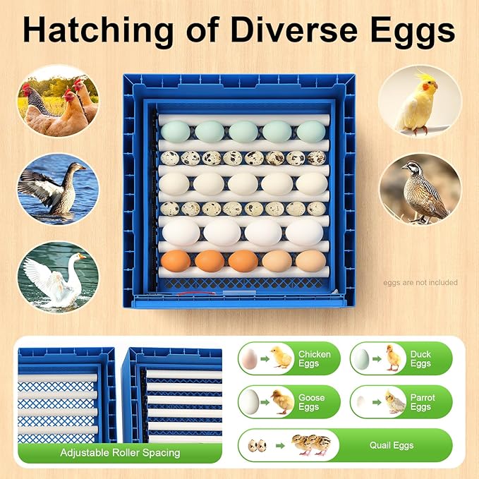 128-Egg Incubator with Automatic Turning, Digital Temperature & Humidity Control - Poultry Hatcher Machine for Chicken, Duck, Goose, Quail & Bird Eggs-Blue