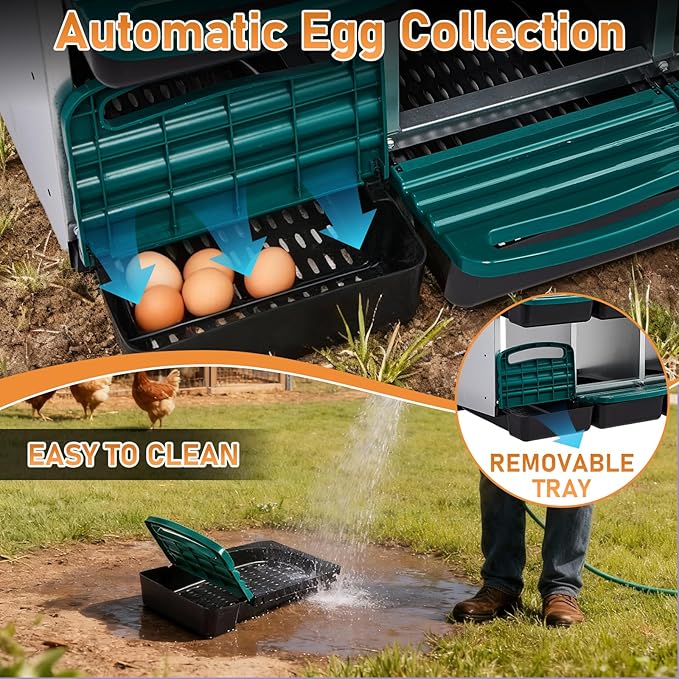 Outvita Chicken Nesting Boxes, 8 Compartments Metal Nesting Boxes for Chickens with Metal Legs, Wall Mount for Laying Eggs with Swing Perch and Roll Away Egg Collection for Chicken Coop, Green
