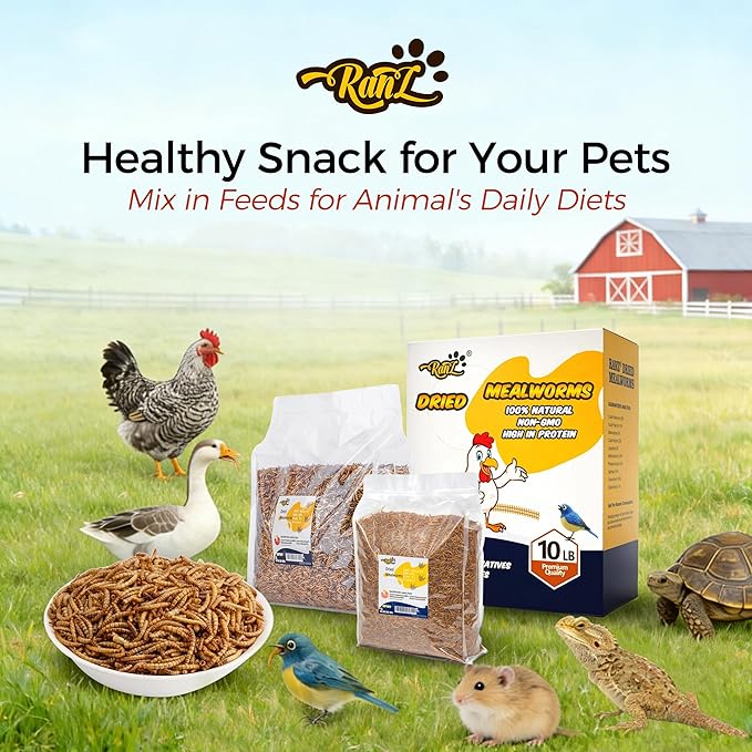 RANZ 10LBS Non-GMO Dried Mealworms for Chickens, High Protein Meal Worms, Premium Chicken Feed, Perfect Bird Food and Chicken Treats, Whole Large Mealworms for Wild Birds, Ducks, Fish