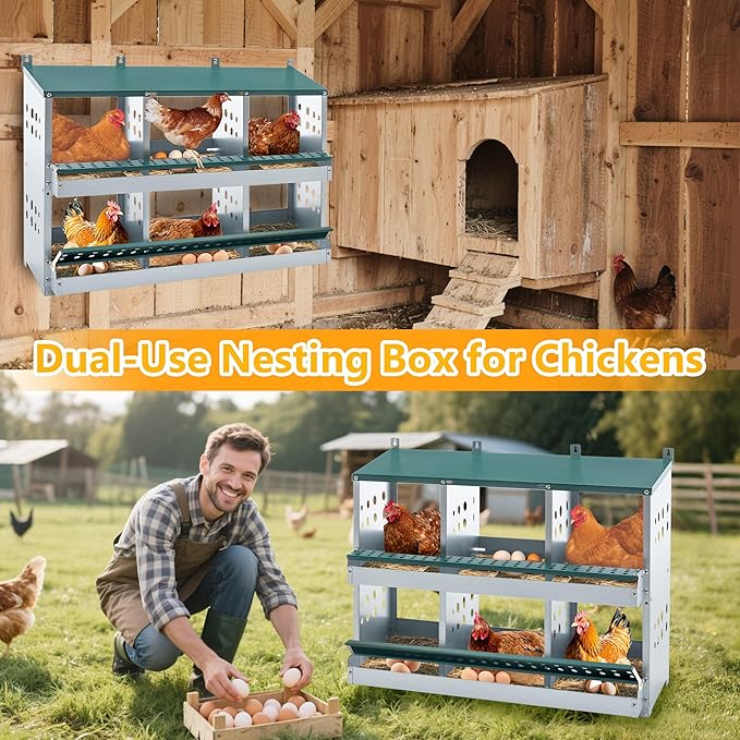 Nesting Box for Chickens Laying Eggs,Roll Away Chicken Nesting Boxes with 6 Compartment,Wall Mountable Metal Chicken Nesting Box,Roll Out Nesting Boxes for Hens,Green