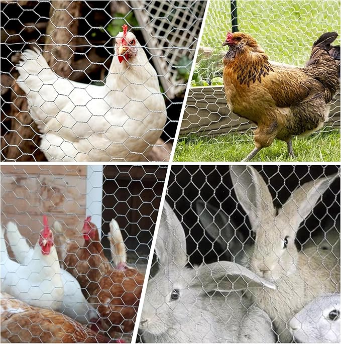 Chicken Wire Netting Galvanized Wire Mesh Hexagonal Fencing for Poultry Garden Fencing Barrier 6FTx50FT