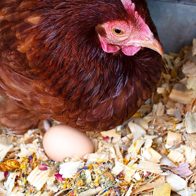 Pampered Chicken Mama Best Eggs Ever! Nesting Herbs for Chickens (8 Pounds Total) for Chicken Nesting Boxes Calcium Supplement for Chickens | Chicken Feed Supplies, Hen Treats for Coops (8 Bags)