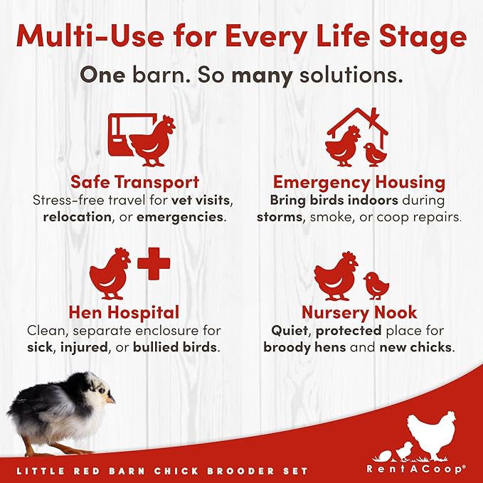 RentACoop Little Red Barn Chick Brooder Set | Durable, Lightweight, Easy-Clean, Multipurpose | with Heating Plate, Feeder, Waterer, Absorbent Hatchling Liners, Jute Liners, LED Light, Security Latch