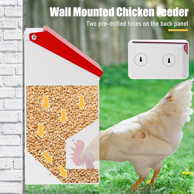Automatic Chicken Feeder 10lbs Metal Chicken Feeder No Waste Wall Mounted Poultry Feeder Trough with Scoop for Chickens Ducks Quail Geese Pet
