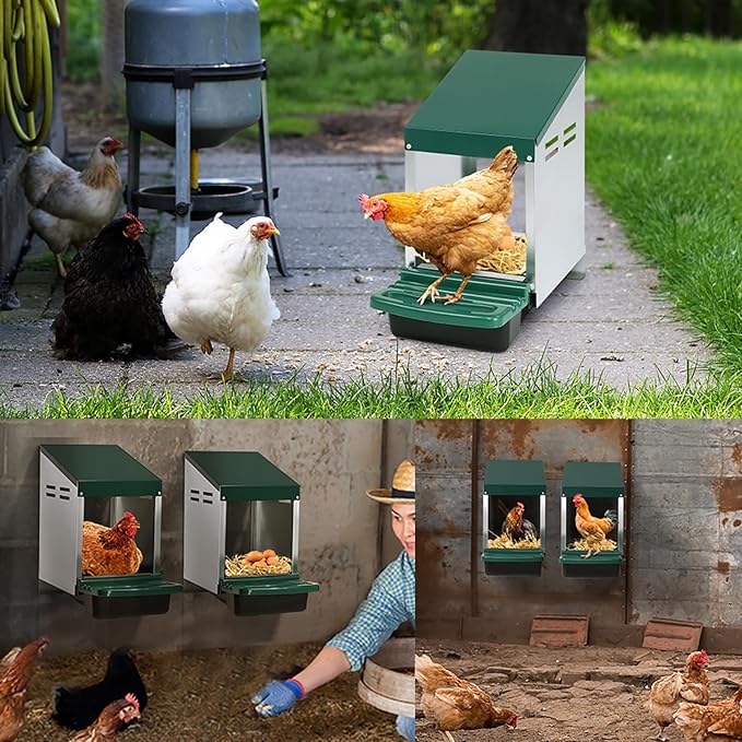 Chicken Nesting Boxes for Laying Eggs,Single Compartment Roll Out Nesting Box Plastic Heavy Duty Chicken Coop with Swing Perch,Hanging Chicken Cage Rolling Egg Collection for Hens, Ducks,Green