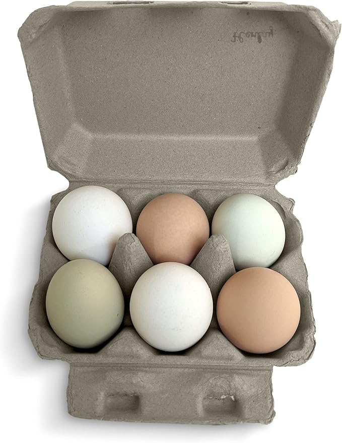 Half Dozen Blank Egg Cartons – Flat Top Half-Dozen Holder, Recyclable Pulp, Ideal for Farm-Fresh Eggs, DIY Custom Labeling, Eco-Friendly Storage - 100 Pack