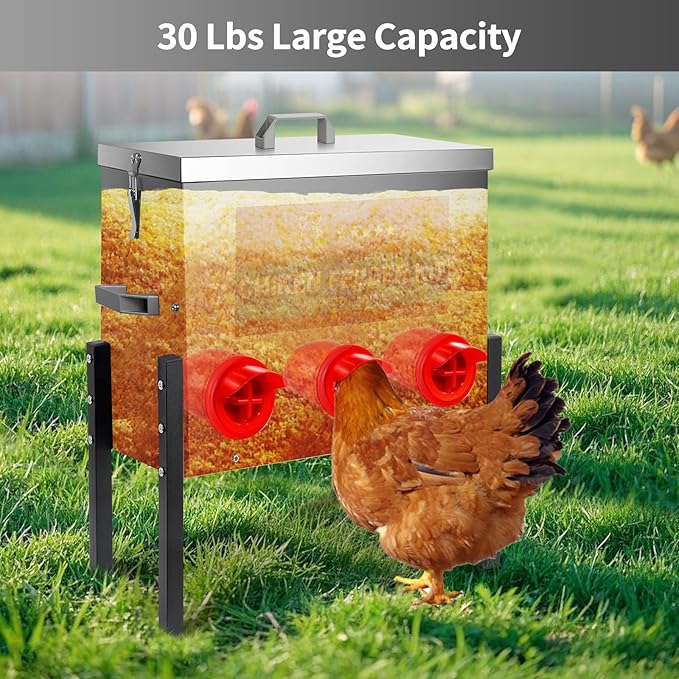 RYFT Chicken Feeder Box 30 Lbs-6 Feeding Port, Galvanized Metal No - Waste Poultry Feeder with Adjustable Legs & Locking Lid