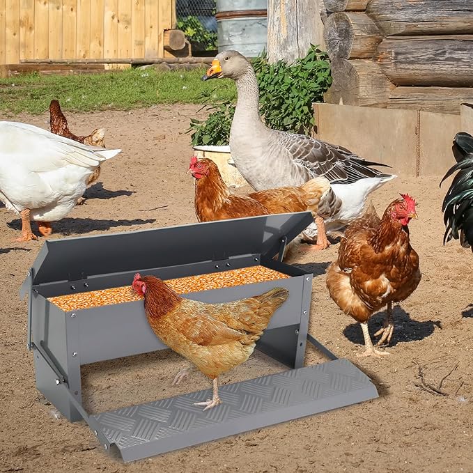Automatic Chicken Feeder Metal Treadle Trough 15lb Outdoor Rainproof for Chickens, Bantams, Poultry, Pheasants