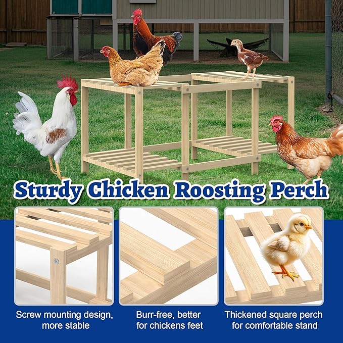 Chicken Perch, Unique Chick Jungle Gym, Strong Roosting Bar Chicken Ladder for Coop & Brooder, Large Chicken Supplies for Coop Accessories, Training Perch Toy for Chickens, Chick, Poultry