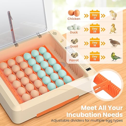 36-60 Egg Incubator with Automatic Egg Turning and Humidity Control, Adjustable Chicken Egg Incubator with Digital Display, for Hatching Eggs Include Chicken Duck Quail Eggs(Orange)