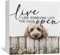Goldendoodle Wooden Box Sign, Rustic Farmhouse Live Like Someone Left the Gate Open Signs for Home Decor,Farm Dog Office Kitchen Bedroom Decor,Goldendoodle Gifts for Kids Women Men,6x6