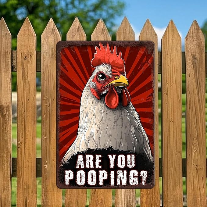 Funny Chicken Signs Chicken Humor Are You Pooping Aluminium Sign Metal Chicken Signs Decor Home Ktichen Farm Are Wall 12x16 Inch Vintage Chicken Signs For Coop Metal Tin Signs Poster
