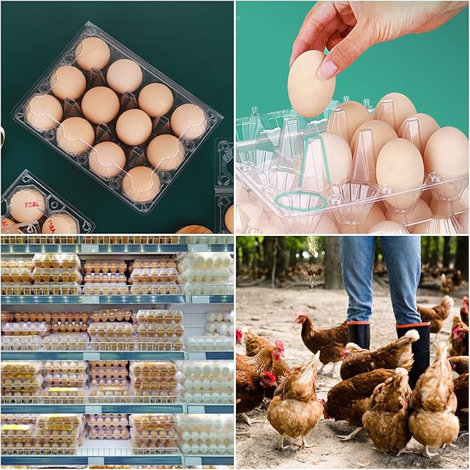 Plastic Egg Cartons Bulk, 48 Packs Empty Clear Plastic Egg Carton Holds Up to 12 Eggs, Reusable Chicken Egg Tray Holders for Family Pasture Chicken Farm, Business Market Display,