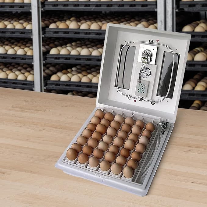 Farm Innovators 120 Volt 40 Watt Circulated Air Incubator for Up to 4 Eggs with Easy to Read Digital Display and Large Picture Window, White (4 Pack)