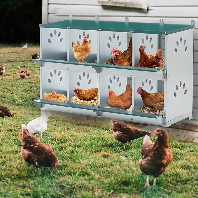 Chicken Nest Box, 8 Compartment Nesting Box, 8 Room Metal Nesting Boxes, Chicken Egg Laying Box Fit for Different Chicken Breeds