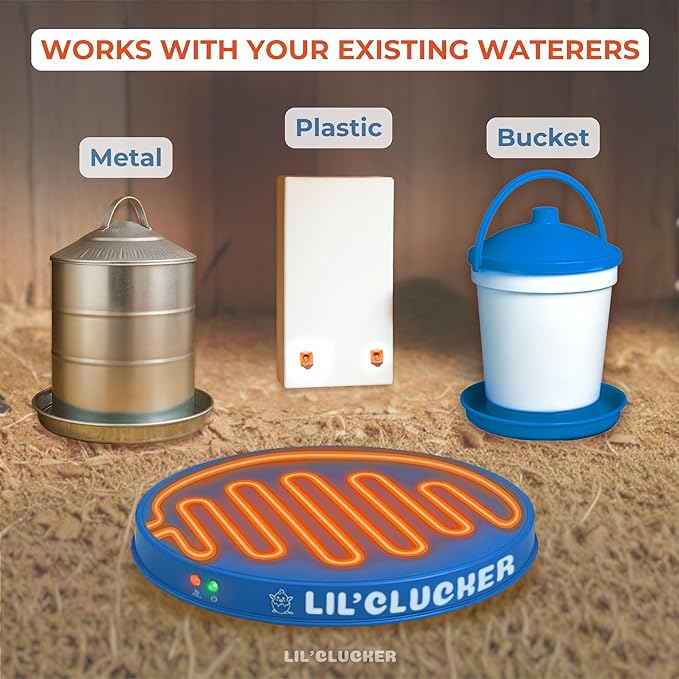 Lil'Clucker Heated Base for Chicken Waterer – Automatic Metal Freeze Proof Heated Chicken Waterer with Heater & LED – Poultry Heated Waterer for Winter (Blue, 11 Inch)