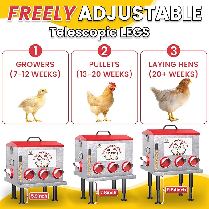 10-Gal 55LB Metal Chicken Feeder with Window, Dual No-Waste & Rat-Proof Design, Automatic Large Chicken Feeder for Outdoor Coops, Rust-Proof Alloy Steel Poultry Feeder with Adjustable Legs