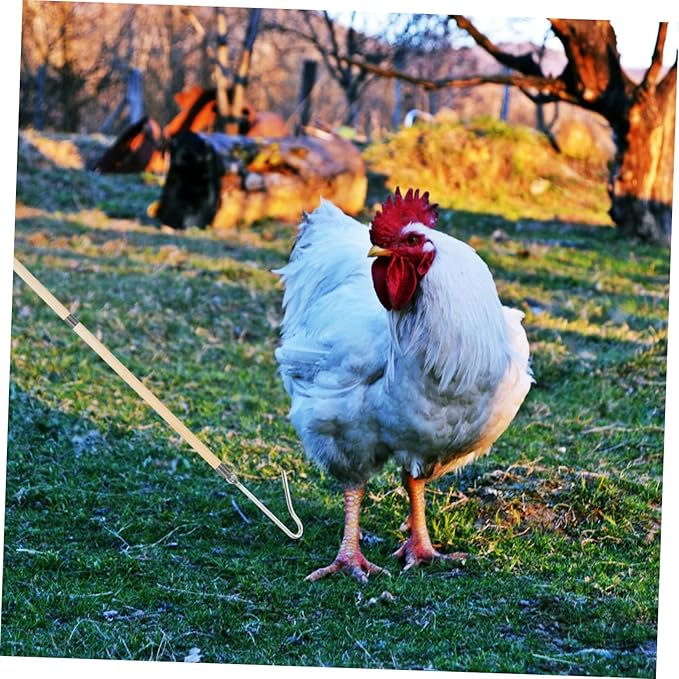 POPETPOP Heavy Duty Chicken Catcher Hook Pole Poultry Handling Tool for Farms Humane Capture and Efficient Chicken Catching