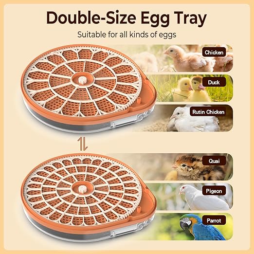 HOWOOlUA 56 Egg Incubator for Hatching Eggs with Auto Turn, Temp & Humidity Control, Built-in Candler Large Capacity Egg Incubator for Chicken Duck Goose Eggs (26-Orange)