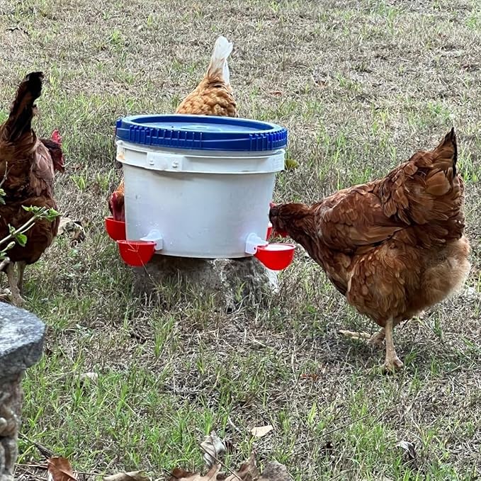 Chicken Waterer Cups, 12 Packs Poultry Water Feeder with Drill, Large Poultry Waterer Automatic Waterer for Chicken Coop, Duck, Chicks, Goose, Turkey, Bunny, Bird (Red, 12 Pack)