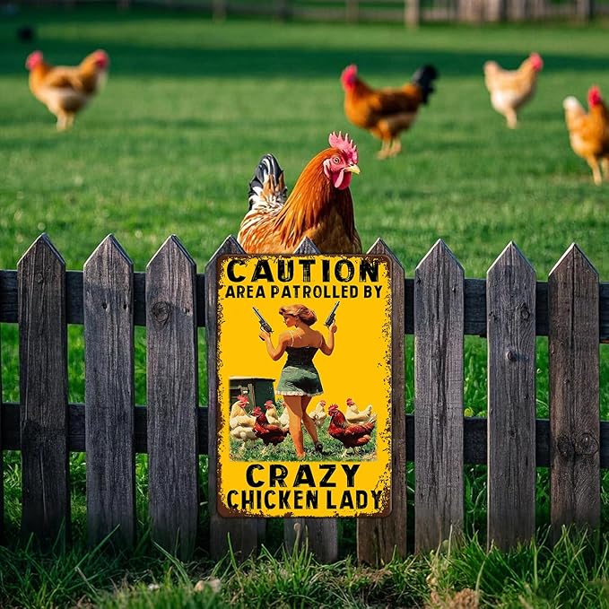 Funny Chicken Metal Sign Vintage Caution Area Patrolled By Crazy Chicken Lady Tin Signs Farm Coop Wall Decor Farmhouse Kitchen Home Garden Yard Hen Tin Poster 12x16 Inch