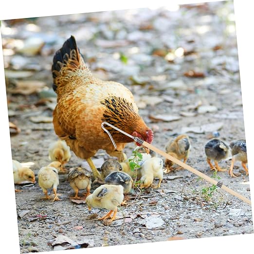 Chicken Catcher Hook Tool Sturdy Construction for Efficiently Catching Chickens Ducks and Geese Farms Multipurpose Animal Catching Safe and Simple to Use