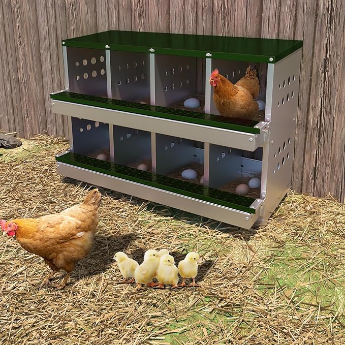 Chicken Nesting Box, 8 Compartment Roll Away Laying Box for Hens, Heavy-Duty Galvanized Steel, Front Egg Collection Tray, 8 Training Eggs Included