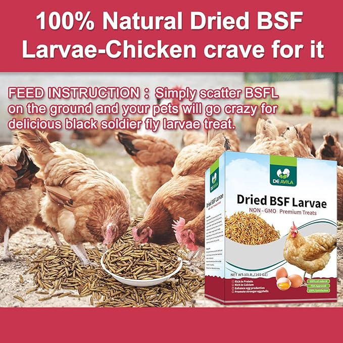 DE AVILA Dried Black Soldier Fly Larva 11 LBS 100% Natural BSF Larvae Non-GMO, 85XMore Calcium Than Mealworms, High Calcium Treats for Chickens Birds Reptiles Hedgehog Geckos Turtles