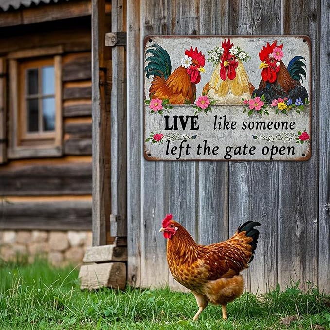 Chicken Wall Decor Sign Live Like Someone Left The Gate Open Tin Poster Funny Farm Chicken Coop Metal Tin Signs 12x16 Inch Home Kitchen Garden Restaurant Rooster Outdoor Yard Wall Art Decor