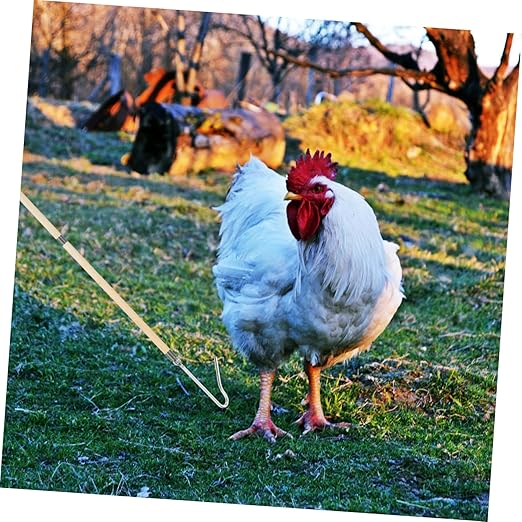 Chicken Catcher Leg Hook Farm Equipment Poultry Management Tool Animal Net for Chicken Supplies