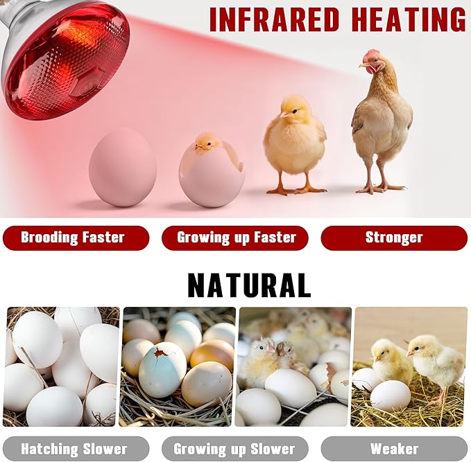 Heat Lamp for Chickens,150W Red Heat Lamp Infrared Light Bulb for Chicks,Chicken Coop