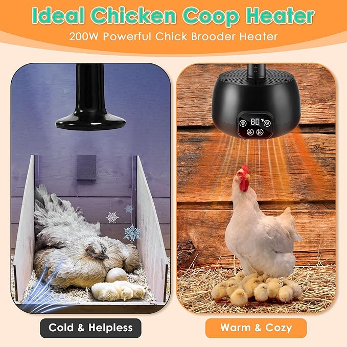 Enhon Chicken Coop Heater with LED Lighting, Adjustable Temperature, Timer & Safety Features – 5 Ft Long Cable Chicken Coop Heating Lamp Perfect for Small Animals and Reptiles(1 Pack)