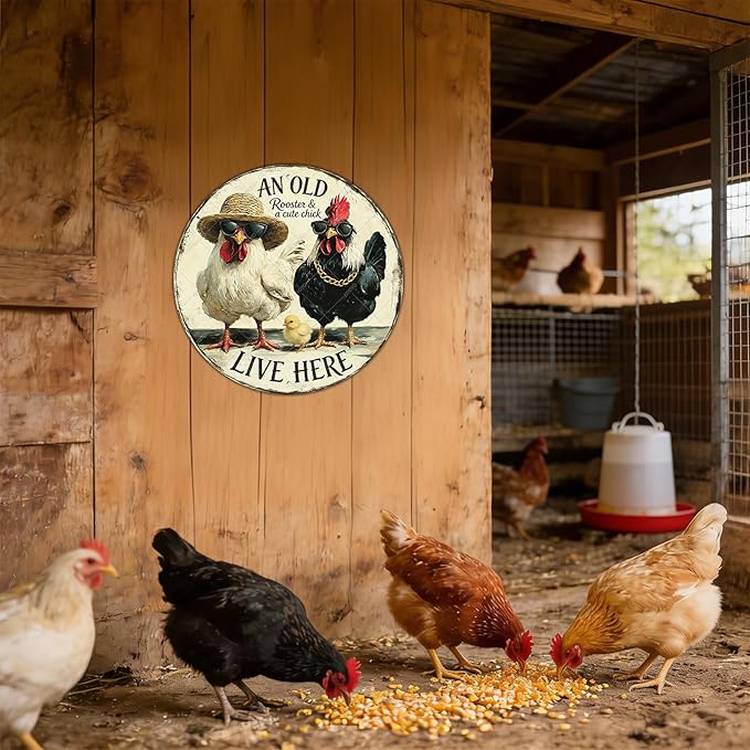 Rooster Wall Decor Round Chicken Signs Chicken Coop Accessories Metal Tin Sign Vintage Style An Old Rooster And A Cute Chick Live Here Iron Poster 12 Inch