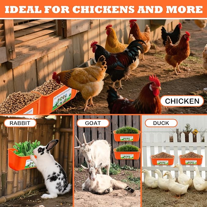 3 Pack Chicken Feeder, Duck Feeder Supplies, Hanging Fence Feed Trough with Clips for Goat, Sheeple, Piglet, Gooses, Turkeys, Dog Livestock Poultry, 8 Quarts in Total, Feed Scoop Included, Orange