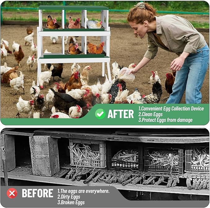Chicken Nesting Boxes, 6-Compartment Metal Egg Laying Box with Swing Perch and Secure Lid – Versatile Wall Mount or Free Standing Suitable for Various Chicken Breeds - Green with Leg
