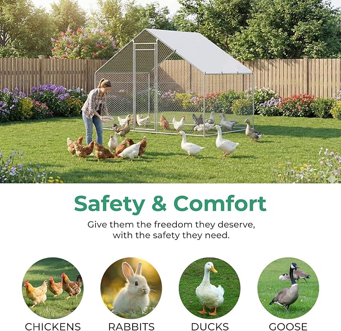 Large Chicken Coop Metal Walk-in Run 9.8' x 4.9' x 6.5', Heavy Duty Galvanized Steel Cage with Waterproof Cover, Secure Lock, Outdoor Pen Enclosure for Hens, Ducks, Rabbits