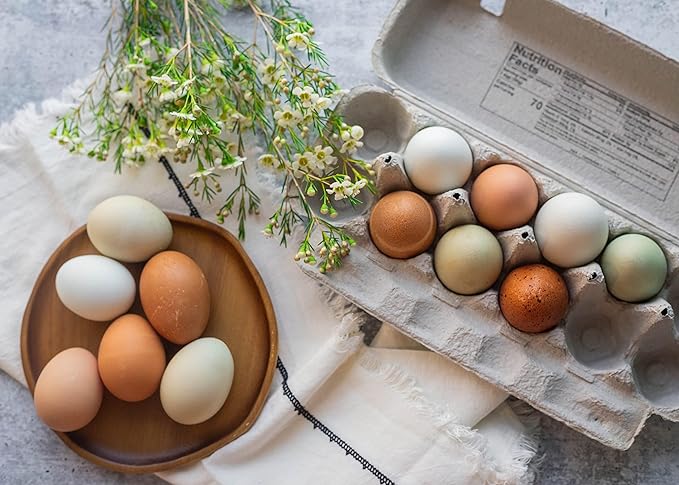 Blank 12-Egg Flat Top Paper Pulp Egg Carton with Nutrition Facts, Safe Handling Info, Optional UPC - 250 Pack