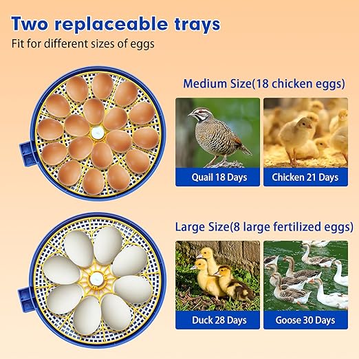 18 Egg Incubator Automatic Egg Turner Temperature & Humidity Control, Incubators for Hatching Eggs, Chicken, Ducks, Goose, Pigeon, Quail, Parrot Incubator Farm,Lab,Science Classroom,Home (Blue-18 Egg)
