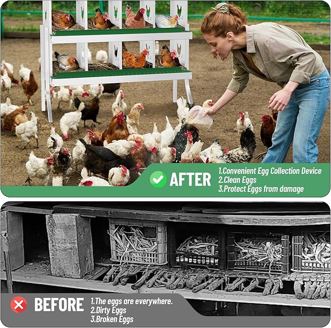 Chicken Nesting Box,8 Compartment Metal Poultry Nest Box Wall Mount, Metal Roll Away Eggs Laying Boxes with Legs, Easy Egg Collection, Easy Cleaning,10 Room Chicken Coop for Hens