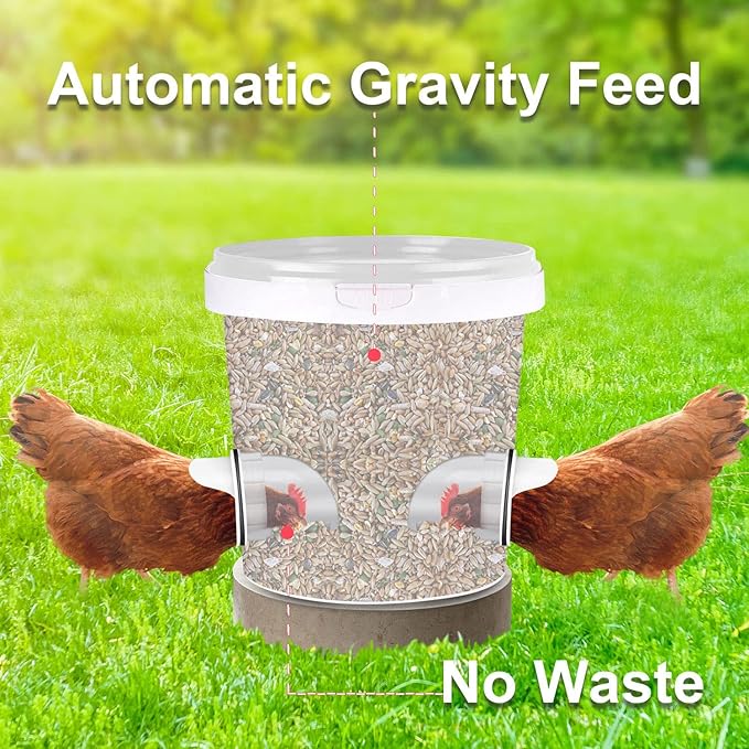 Chicken Feeder No Waste Automatic Poultry Feeder Ports Kit and Waterer Set