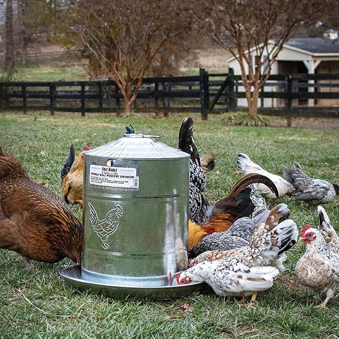 Harris Farms Double Wall Poultry Drinker|Automatic Poultry Water|5 Gallons