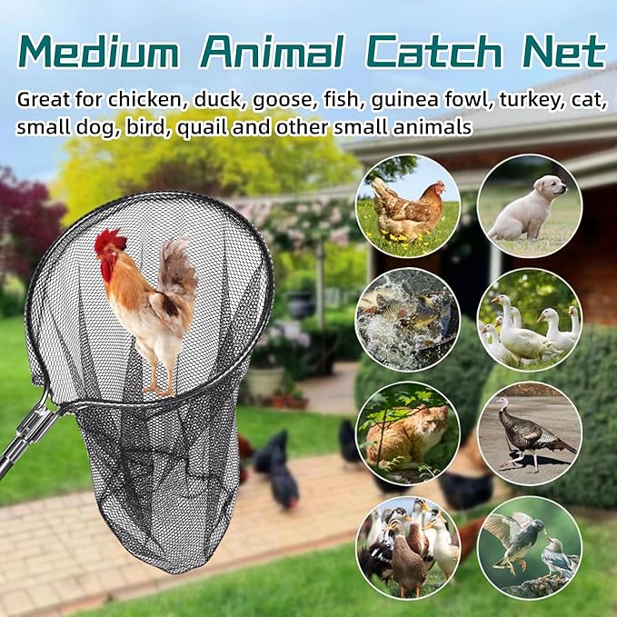 Catch Net - Small Animal Catcher for Chicken, Duck, Goose, Fish, Cat, Bird, Raccoon, Dog and Others (43"-78" Handle with 20" Net Opening)