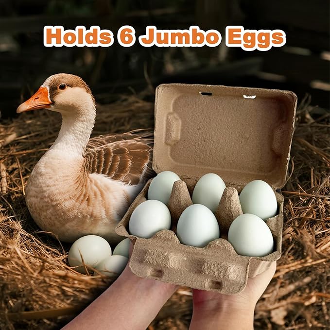 Half Dozen Pulp Duck Egg Carton Container, 6-Count Storage Box for Farm Fresh Double-Yolked Eggs, Reusable, Brown (50 Pack)