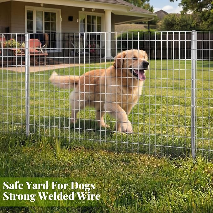 Gisafai 48in x 100ft Welded Wire Fence, 2 Inch x 4 Inch 16 GA, Galvanized Metal Garden Fence Roll Wire Mesh Netting for Goat Deer Cattle Animal Enclosures and Yard Vegetable Plant Protection,Silver